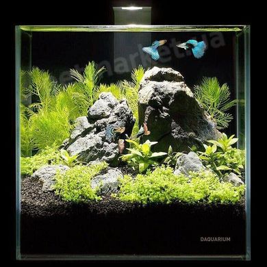 Collar PICO Set - аквариум с комплектом аксессуаров Petmarket