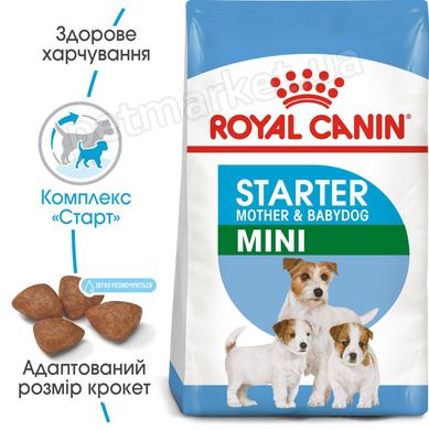 Royal Canin MINI STARTER - корм для цуценят, вагітних і годуючих собак дрібних порід - 1 кг Petmarket