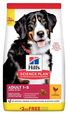 Hill's Science Plan ADULT Large Chicken - сухий корм для собак великих порід (курка) - Breeder Bag 18 кг Petmarket