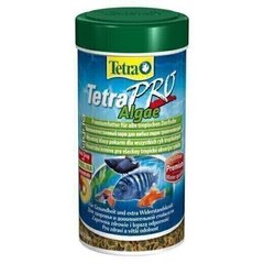 Tetra TETRAPRO Algae - корм-дополнительная защита для всех видов тропических рыб - 10 л Petmarket