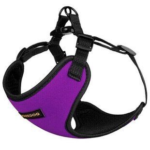 BronzeDog SPORT - шлея для собак дрібних порід - S бірюзовий Petmarket