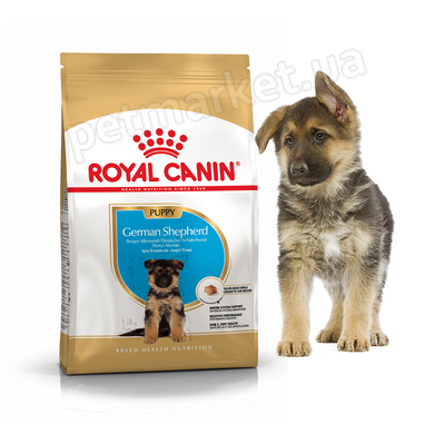 Royal Canin GERMAN SHEPHERD Puppy - Роял Канін сухий корм для цуценят німецької вівчарки - 12 кг % Petmarket