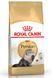 Royal Canin PERSIAN - корм для персидських кішок - 2 кг %