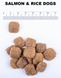 Amity SALMON & RICE - гипоаллергенный корм для собак (лосось/рис) - 15 кг