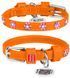 Collar WauDog GLAMOUR Стрази - шкіряний нашийник для собак - 21-29 см, Фіолетовий Petmarket