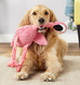 Kong Shakers Honkers Flamingo - игрушка для собак мелких пород - S