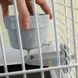 Savic CROCK - кормушка для собак, хорьков, птиц и грызунов - 550 мл %
