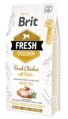 Brit Fresh ADULT Chicken with Potato - корм для собак (курка/картопля) - 12 кг Petmarket