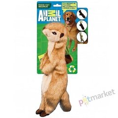 Eco Animal Planet СУСЛИК - игрушка для собак Petmarket