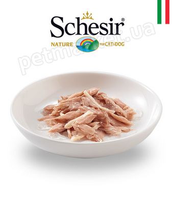 Schesir TUNA & CHICKEN - Тунец с Курицей - консервы для кошек Petmarket