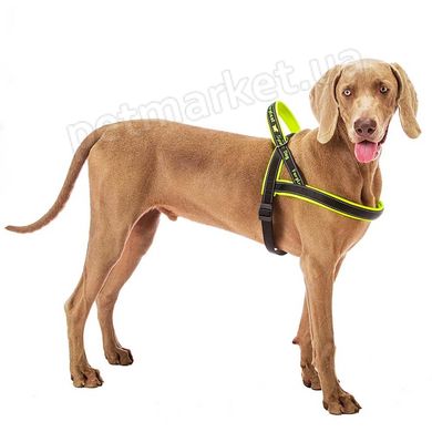 Ferplast SPORT DOG - шлея с подкладкой для собак крупных пород - L, Голубой Petmarket