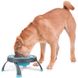 Dexas Single Elevated Feeder миска на складной подставке для собак и кошек - 360 мл, Розовый