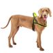 Ferplast SPORT DOG - шлея з підкладкою для собак малих порід - XS, Рожевий