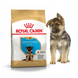 Royal Canin GERMAN SHEPHERD Puppy - корм для цуценят німецької вівчарки - 12 кг %