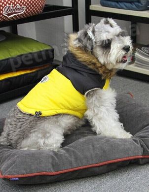 Dobaz TRAVELER тепла куртка для собак - блакитний, XL % Petmarket
