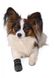 Trixie WALKER CARE - обувь для собак - S