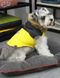 Dobaz TRAVELER тепла куртка для собак - жовтий, S %