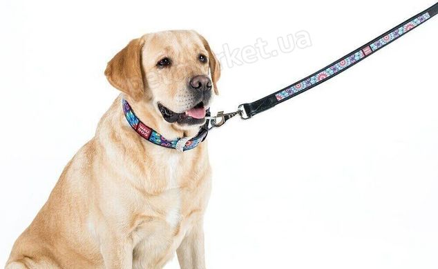 Collar WAUDOG Цветы - кожаный поводок для собак - 18 мм, Белый Petmarket