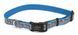 Coastal LAZER Brite - світловідбиваючий нашийник для собак - 71 см - Бірюзовий Petmarket