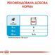 Royal Canin Medium PUPPY - консервы для щенков средних пород (кусочки в соусе) - 140 г %