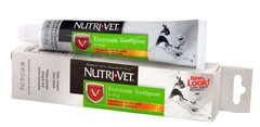 Nutri-Vet ENZYMATIC Toothpaste - энзимная зубная паста для собак Petmarket