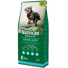 Nutrican JUNIOR Large - корм для щенков крупных пород - 15 кг % Petmarket