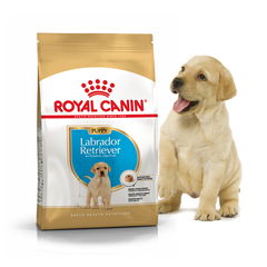 Royal Canin LABRADOR RETRIEVER Puppy - корм для цуценят лабрадора до 15 місяців - 12 кг % Petmarket