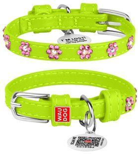 Collar WauDog GLAMOUR Стрази - шкіряний нашийник для собак - 21-29 см, Фіолетовий Petmarket
