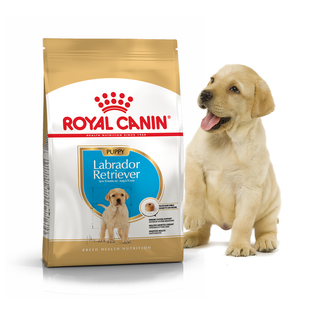 Royal Canin LABRADOR RETRIEVER Puppy - корм для цуценят лабрадора до 15 місяців - 12 кг % Petmarket