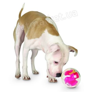 Planet Dog MAZEE - МАЗИ Мяч-Лабиринт для лакомств - интерактивная игрушка для собак - Зеленый Petmarket