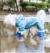 Lets Pet RAIN BOOTS - водонепроникні черевики для собак - S, Лимонний