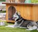 Ferplast BAITA 100 - деревянная будка для собак %