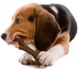 Nylabone Extreme Chew Wooden Stick - жевательная игрушка для собак (вкус бекона) - M