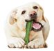 Nylabone Natural NUTRI DENT Fresh Large - Нутрі Дент Приємна Свіжість - жувальні ласощі для чищення зубів у собак крупних порід