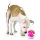Planet Dog MAZEE - МАЗІ М'яч-Лабіринт для ласощів - інтерактивна іграшка для собак - Рожевий