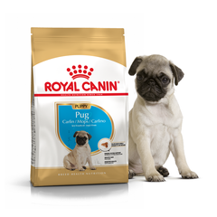 Royal Canin PUG Puppy - корм для цуценят мопса - 1,5 кг % Petmarket