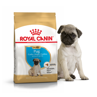 Royal Canin PUG Puppy - корм для цуценят мопса - 1,5 кг % Petmarket