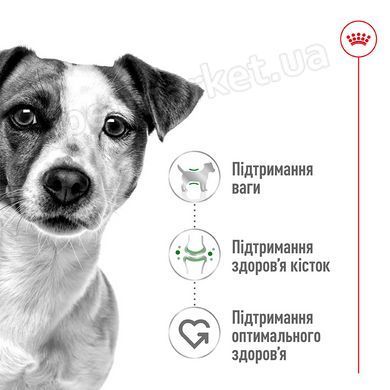 Royal Canin MINI ADULT - вологий корм для собак дрібних порід (шматочки у соусі) - 85 г % Petmarket