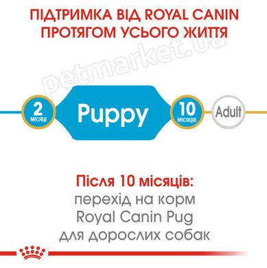 Royal Canin PUG Puppy - корм для щенков мопса - 1,5 кг Petmarket