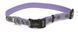Coastal LAZER Brite - світловідбиваючий нашийник для собак - 71 см - Бірюзовий Petmarket