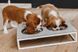 Harley and Cho LUNCH BAR STONE White - миски на кам'яній підставці для собак і кішок - Бежевий, XS