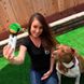 Croci SELFIE Clip - клипса на телефон с мячиком для качественных фото с собакой