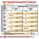 Royal Canin S/O Urinary Moderate Calorie Dog - дієтичний корм для собак, схильних до набору зайвої ваги, при захворюваннях сечовидільної системи - 100 г