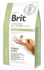 Brit VetDiet DIABETES - беззерновий корм для собак при цукровому діабеті, 2 кг Petmarket