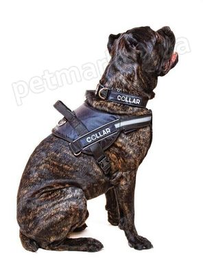 Collar POLICE - багатофункціональна шлея для собак - №2, Червоний Petmarket