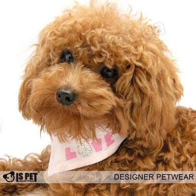 IsPet LOVE бандана - аксессуары для собак - S Petmarket