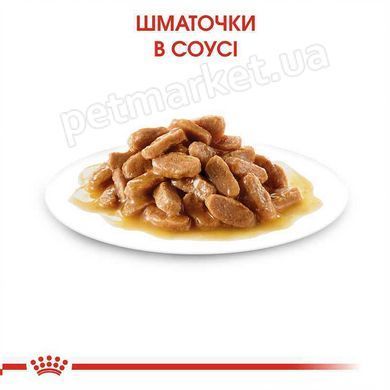 Royal Canin Medium ADULT - консервы для собак средних пород (кусочки в соусе) - 140 г Petmarket
