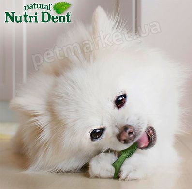 Nylabone Nutri Dent Natural - натуральное жевательное лакомство для чистки зубов собак Petmarket