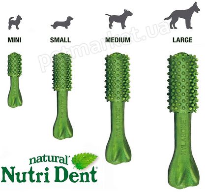 Nylabone Nutri Dent Natural - натуральні жувальні ласощі для чищення зубів собак - L Petmarket