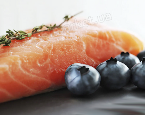 Orygo Dog Adult Salmon & Blueberries Pate - беззерновой влажный корм для собак (лосось/черника), паштет Petmarket